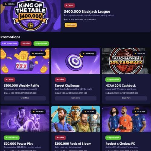 Roobet Online Casino Testimonial 2026